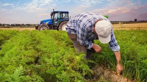 Tarım ve Orman Bakanlığı kırsalda 287 bin kişiye iş sağladı