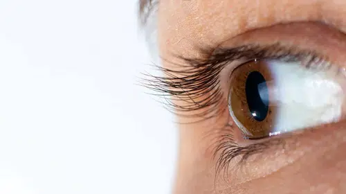 Palyatif Bakımda Yeni Gelişme: Kornea Refleksi Kaybı Ölümün Son 24 Saatini Öngörüyor