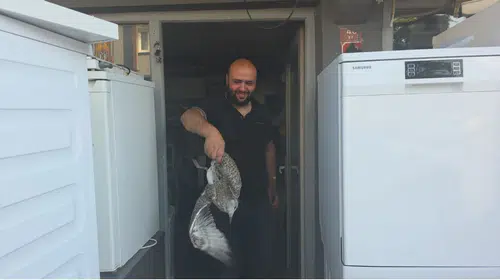 Martı yavrusu beyaz eşya tamircisini karıştırdı