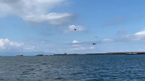 Ereğli semalarında eğitim uçuşu yapan savaş helikopterleri ilgi odağı oldu