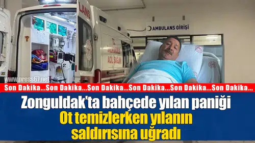 Zonguldak’ta bahçede yılan paniği: Ayağından ısırılan Kamil Kaçar 1 gün gözetim altında