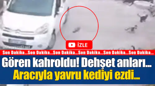 Gören kahroldu! Dehşet anları...Aracıyla yavru kediyi böyle ezdi...