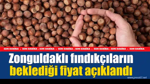 Zonguldaklı fındıkçıların beklediği fiyat açıklandı