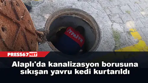 Alaplı'da kanalizasyon borusuna sıkışan yavru kedi kurtarıldı