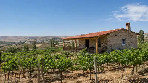 Tarım Arazilerinde Bağ Evi Yapımına Yeni Kriterler Getirildi