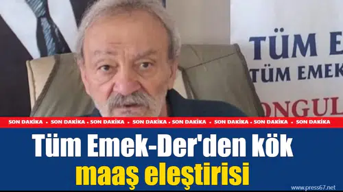 Tüm Emek-Der'den kök maaş eleştirisi
