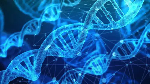 Cinayetleri aydınlatacak DNA devrimi: Bir örnekle yaş ve köken ortaya çıkıyor!