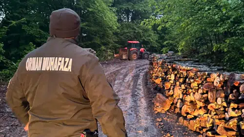 Zonguldak'ta ormanlara 7/24 sıkı denetim