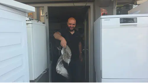 Martı yavrusu beyaz eşya tamircisini karıştırdı