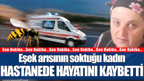 Zonguldak'ta eşek arısının soktuğu kadın hayatını kaybetti