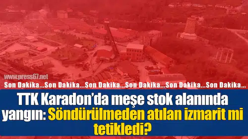 TTK Karadon’da meşe stok alanında yangın: Söndürülmeden atılan izmarit mi tetikledi?