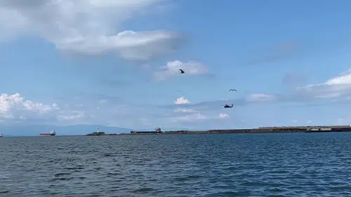 Ereğli semalarında eğitim uçuşu yapan savaş helikopterleri ilgi odağı oldu