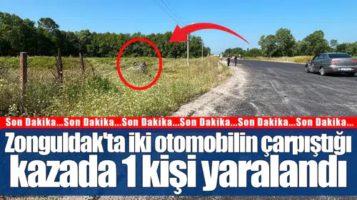Zonguldak'ta Trafik Kazasında 1 Kişi Yaralandı: İki Araç Çarpıştı!