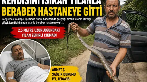 Alaplı’daki ‘Yılanı Yakalayıp Hastaneye Gitti’ asılsız çıktı