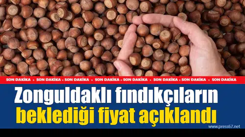 Zonguldaklı fındıkçıların beklediği fiyat açıklandı