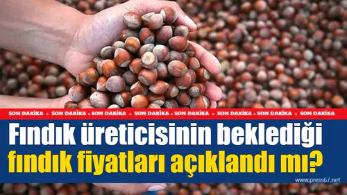 Fındık üreticisinin beklediği fındık fiyatları açıklandı mı?