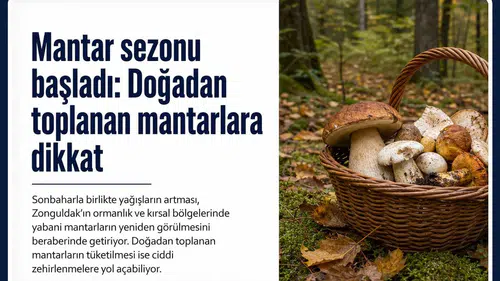 Mantar sezonu başladı: Doğadan toplanan mantarlara dikkat