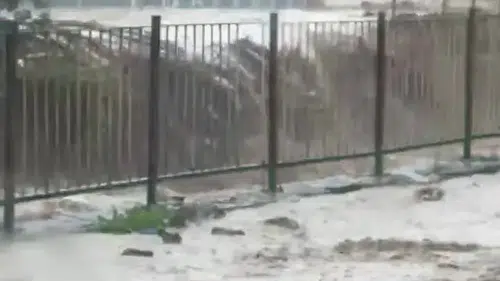 Zonguldak'ta sağanak yağış dereleri taşırdı atölyeleri su bastı