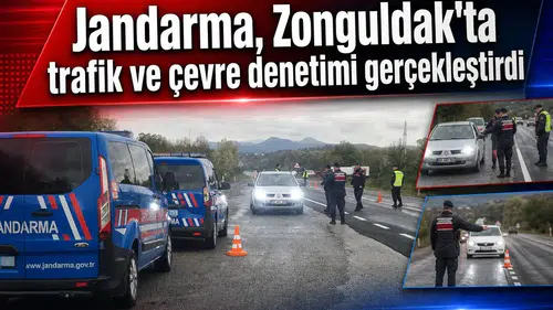 Jandarma, Çaycuma'da trafik ve çevre denetimi yaptı