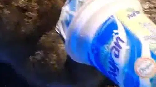 Kafasına ayran kabı sıkışan kedi, yardım için itfaiyeye gitti.