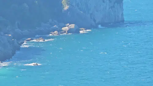 Zonguldak'ta kayıp balıkçı Erdin Yılmaz'ı arama çalışmaları sürüyor