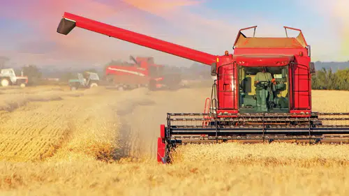 TÜRİB Genel Müdürü Kırali: Fiyatlar yukarı gidiyor tarıma girdi desteği lazım