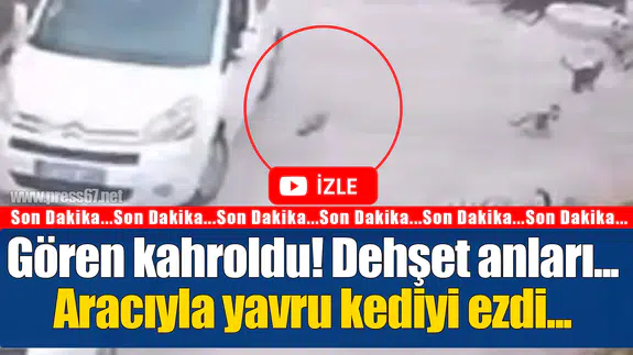 Gören kahroldu! Dehşet anları...Aracıyla yavru kediyi böyle ezdi...