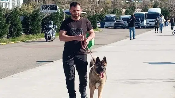 Zonguldak'ta kaybolan Leydi isimli köpek aranıyor