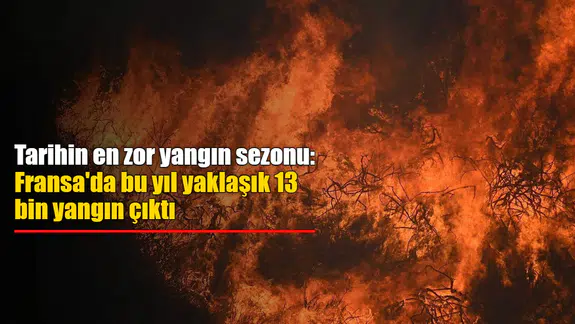 Fransa'da 2023 Yılı İçerisinde 12 Bin 845 Yangınla 61 Bin Hektar Orman Yok Oldu