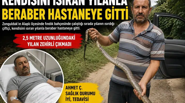 Alaplı’daki ‘Yılanı Yakalayıp Hastaneye Gitti’ asılsız çıktı