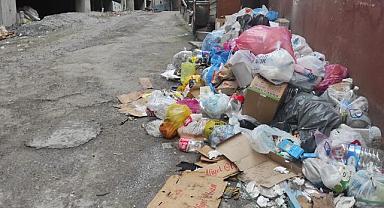 Belediyeye 50 metre mesafede! Konteynırlar gitti çöpler kaldı...