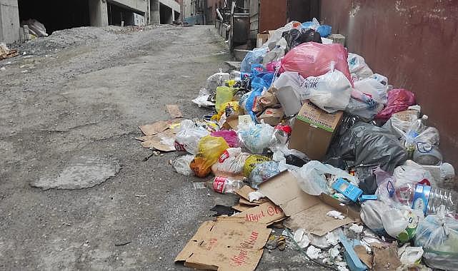 Belediyeye 50 metre mesafede! Konteynırlar gitti çöpler kaldı...