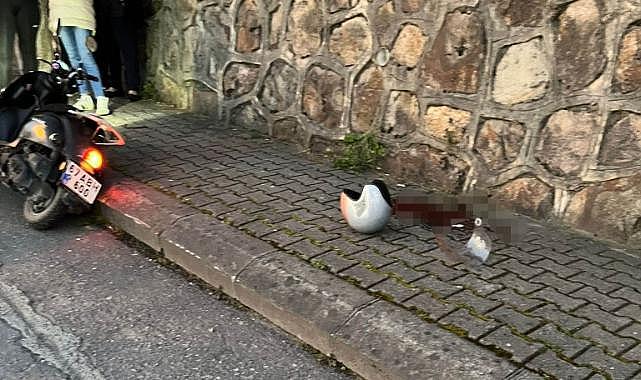 Cinayet...Kadın sokak ortasında öldürüldü!