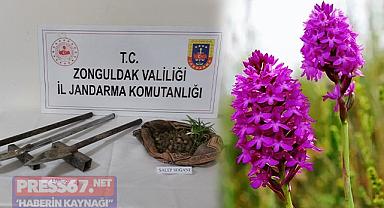 Sen misin bunu yapan! Salep soğanı toplarken yakalandılar!