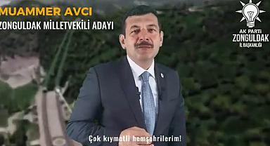 Avcı,