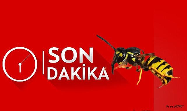 Bahçede çalışan kadın hayatının şokunu yaşadı