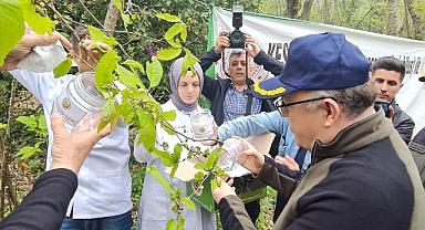 Gal arısıyla mücadele başladı; doğaya saldılar!