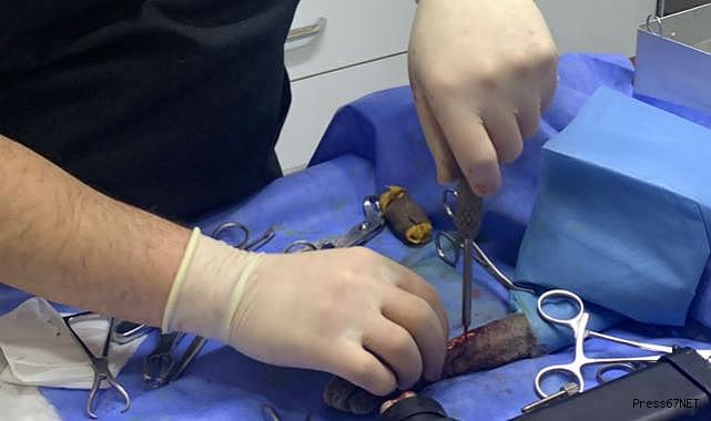 Kuş yakalamak isterken beşinci kattan aşağıya düştü!