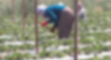 59 yaşındaki Fatma Aydın, bahçede ölü bulundu!