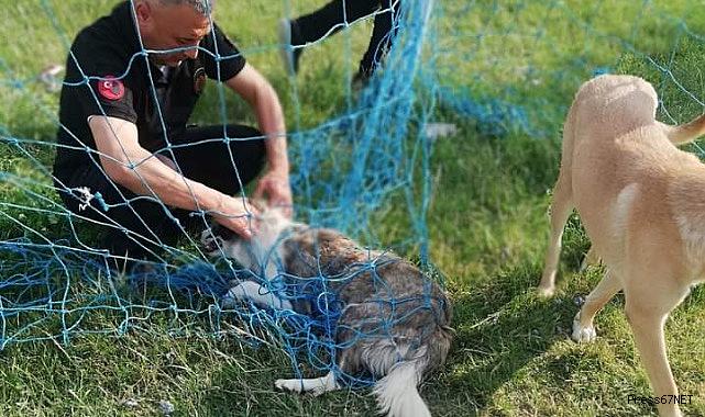 Fileye dolanan köpeği itfaiye ekipleri kurtardı