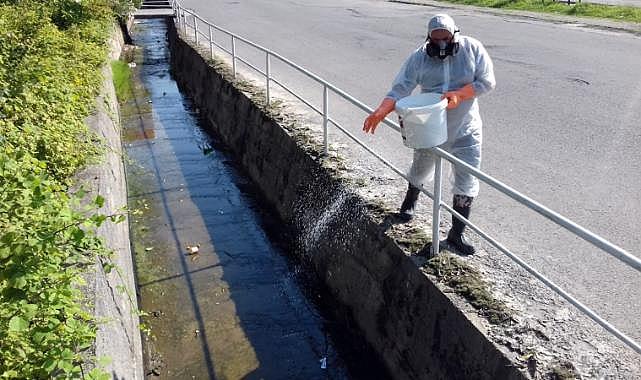 Kdz. Ereğli Belediyesi, sivrisineklere karşı ilaçlama çalışmalarına başladı