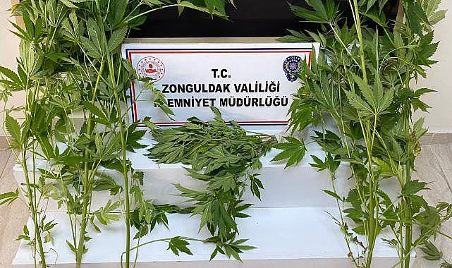 Polisten uyuşturucu operasyonu 3 gözaltı