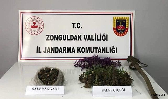 Salep soğanı toplayanlara 2 milyon lira ceza kesildi