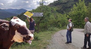 Şap hastalığı nedeniyle kurban satış yerleri kapatıldı