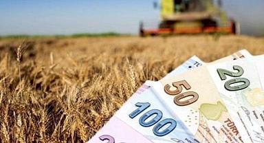 Çiftçiler müjde! Tarımsal destek ödemeleri hesaplara aktarıldı