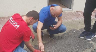Vatandaşların bulduğu tilki yavrusu koruma altına alındı