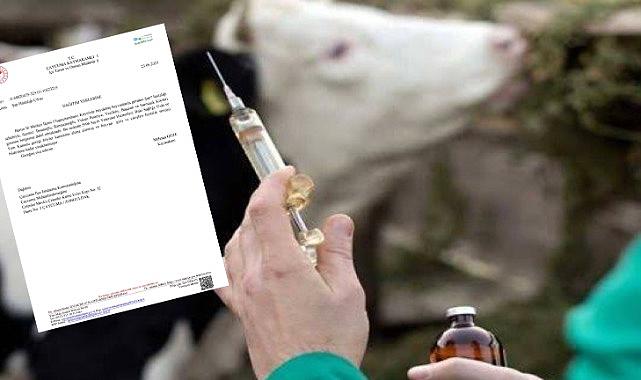 Çaycuma’ da şap hastalığı tespit edilmedi!