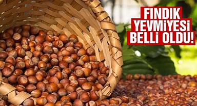 En düşük fındık yevmiyesi 447 lira 15 kuruş