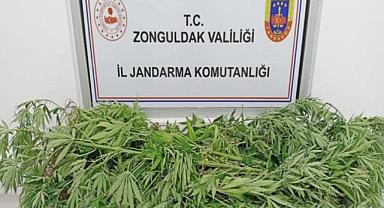 Jandarmadan uyuşturucu operasyonu!