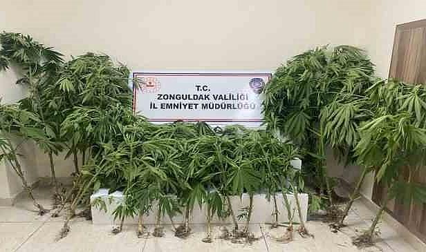 Uyuşturucu operasyonunda 1 kişi tutuklandı